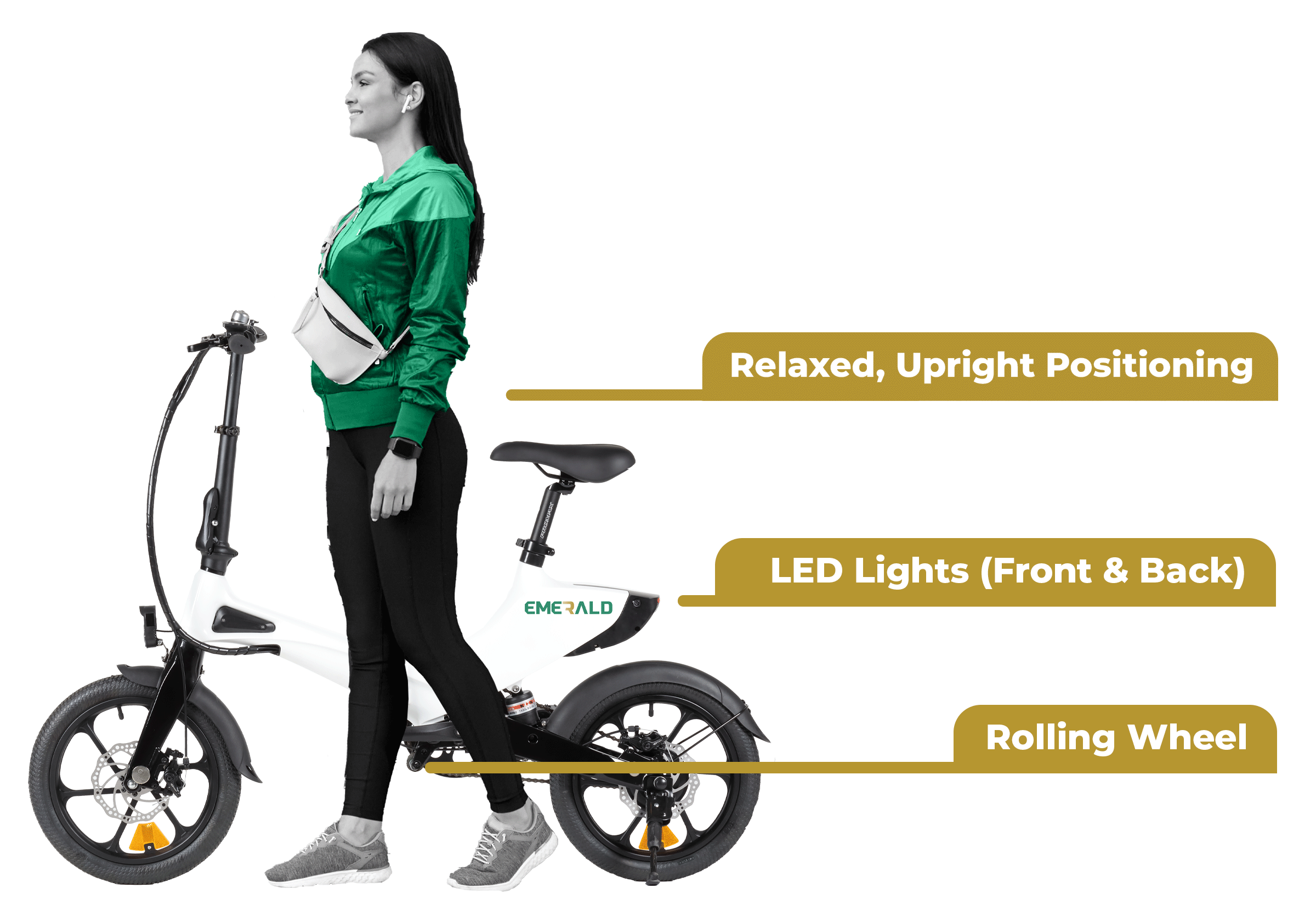 Ebike Details