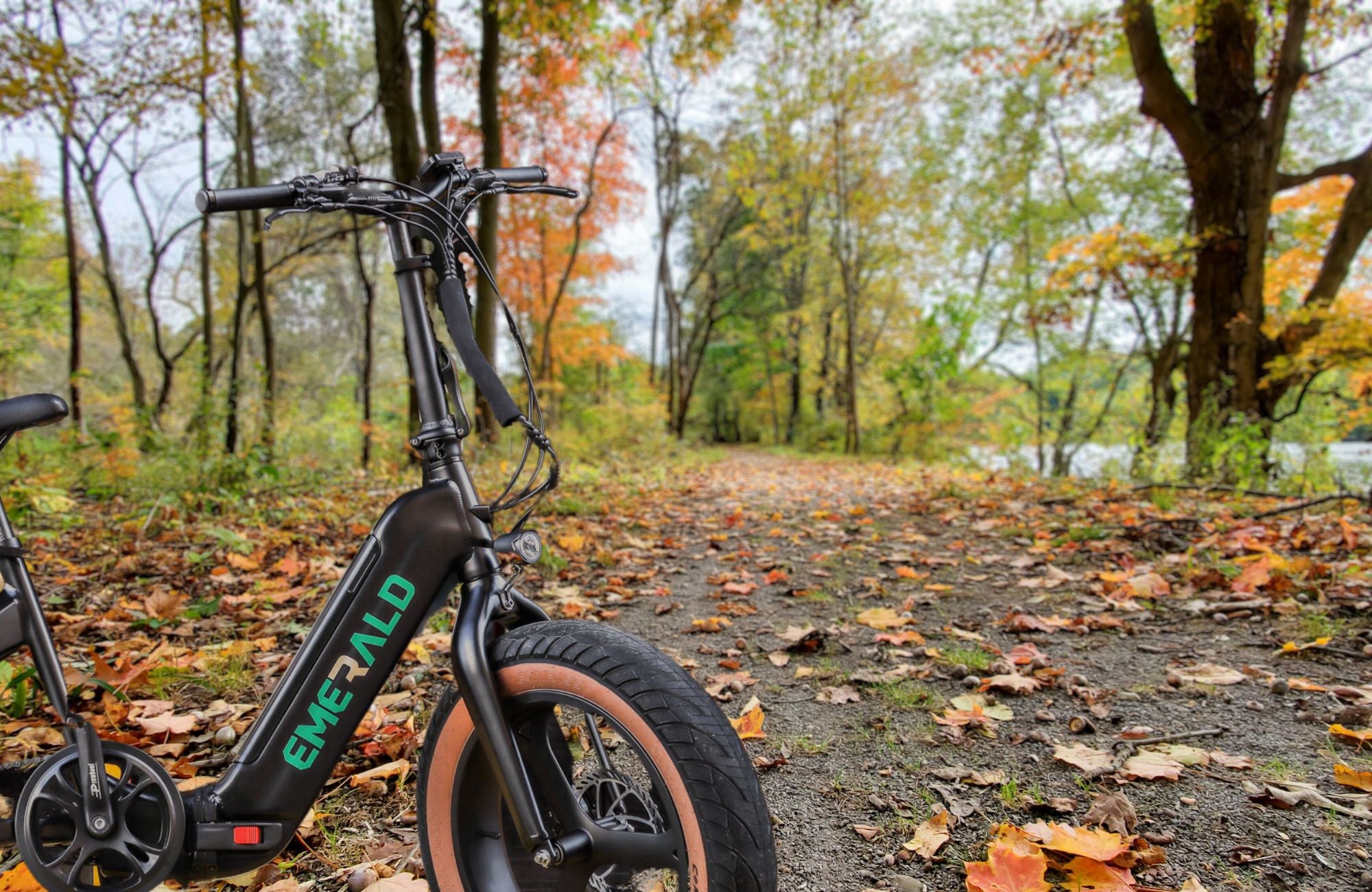Discover Pennsylvania's Most Thrilling Ebike Trails