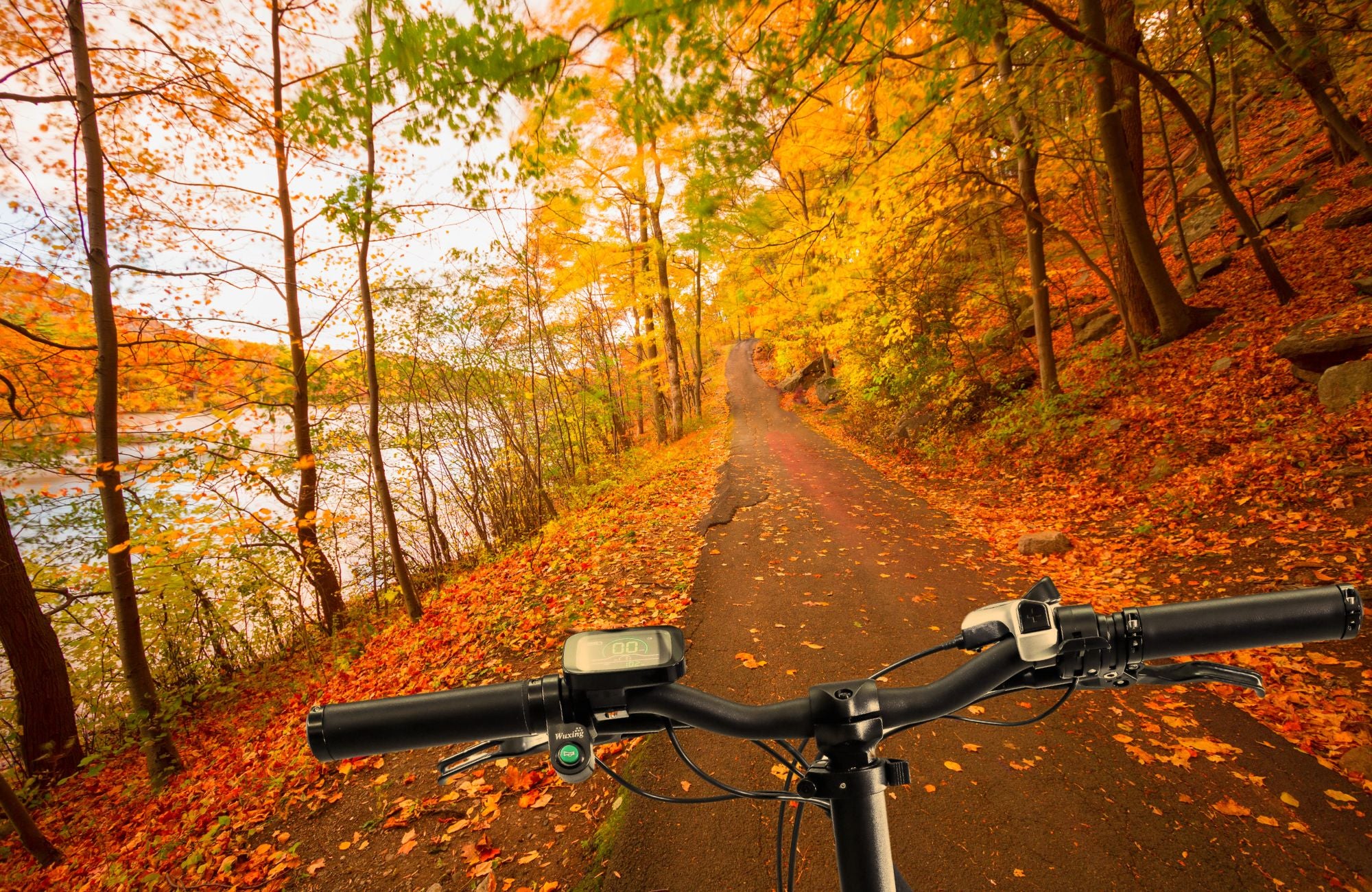 Seasonal Maintenance: Preparing Your Ebike for Fall Riding