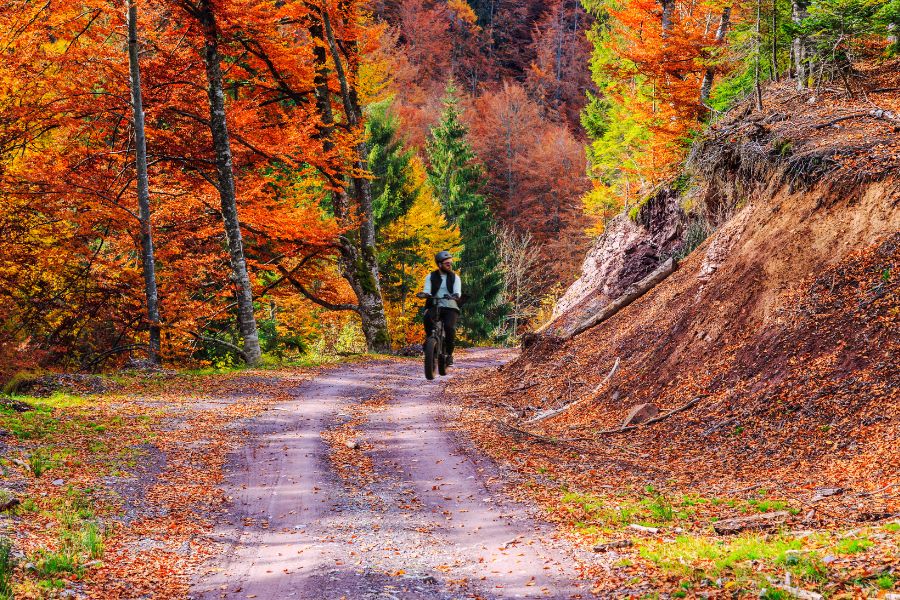 Embracing Autumn: Exploring Vibrant Fall Foliage on Your Ebike