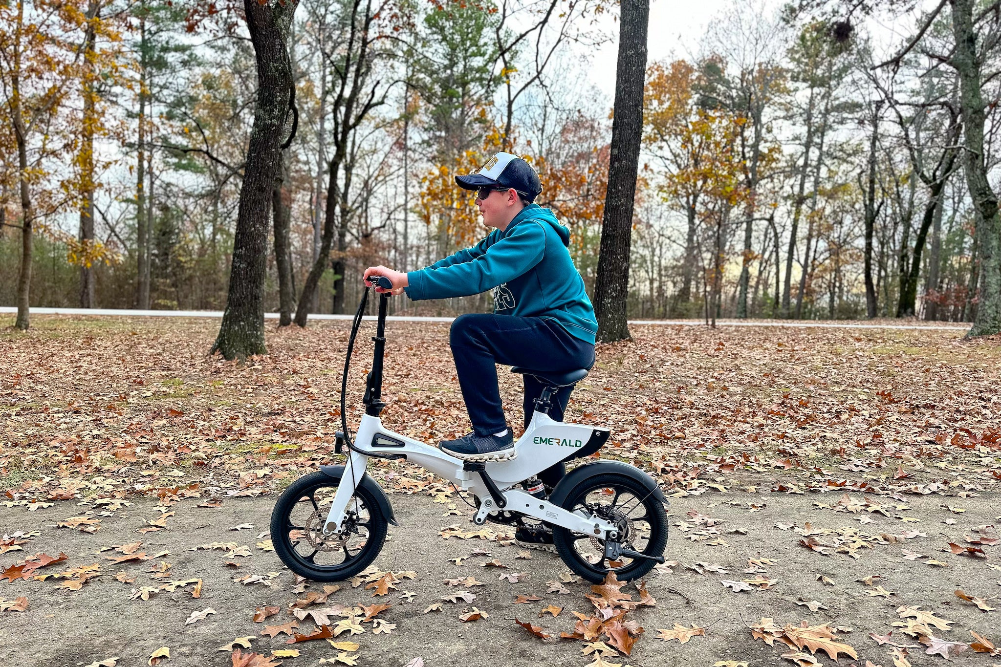 The Emerald City Fold Ebike